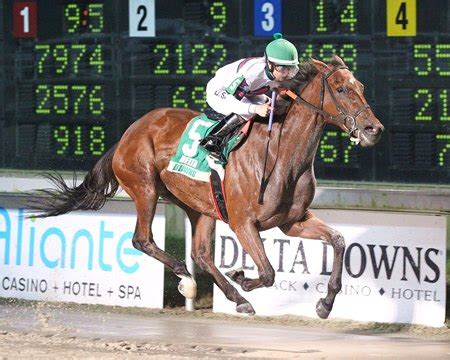 stake race calendar|upcoming bloodhorse stakes calendar.